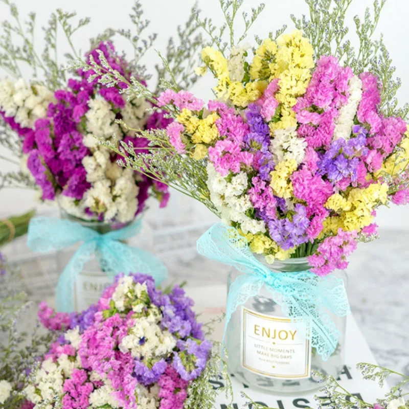 Hot Selling 60CM Preserved Forget Me Not Flowers Dried Flower For Home Bookroom Wedding Mother's Day Decoration
Hot Selling 60CM Preserved Forget Me Not Flowers Dried Flower For Home Bookroom Wedding Mother's Day Decoration
