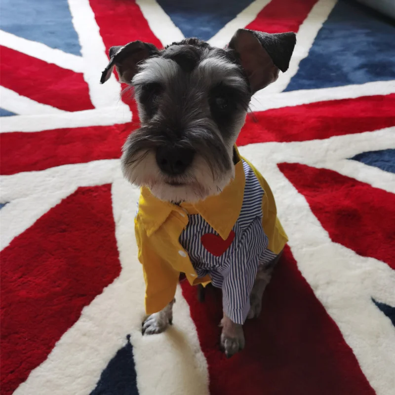 Pet Dog Summer Shirt for Small Medium Dogs Fashion Design Striped Pet Dog Clothes Pomeranian Yorkie Clothing PDC0091 
Pet Dog Summer Shirt for Small Medium Dogs Fashion Design Striped Pet Dog Clothes Pomeranian Yorkie Clothing PDC0091