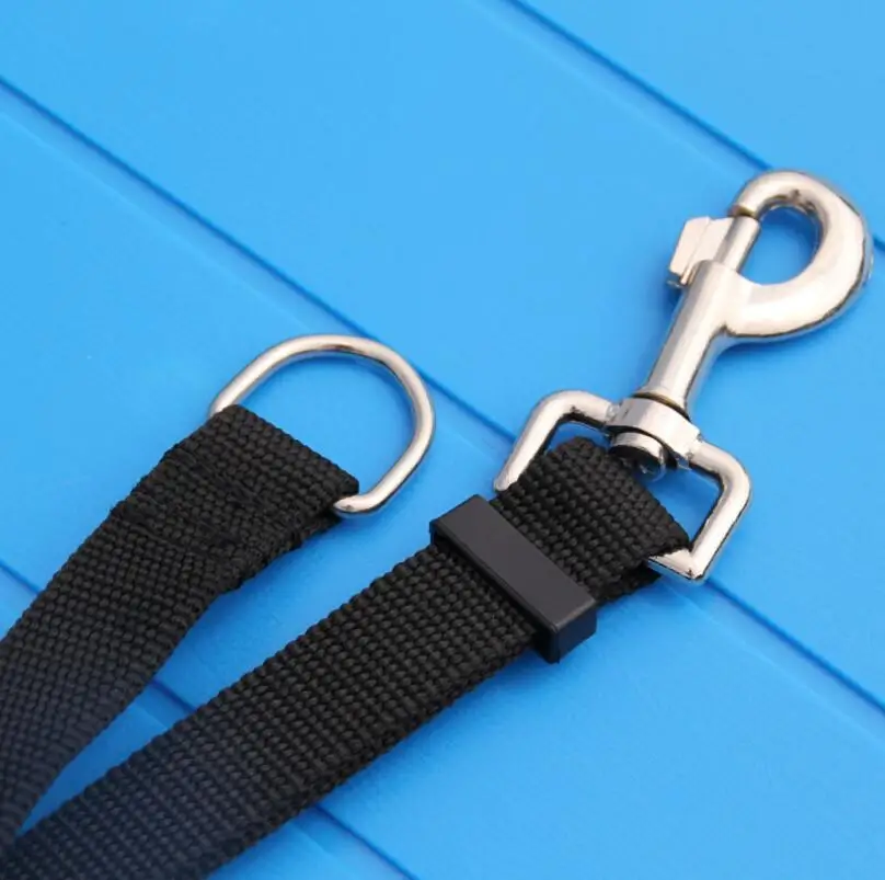 Pet Dog Lead Leash for Dogs Cats Nylon Walk Dog Leash Selected Size 1.5M 1.8M 3M 6M 10M Outdoor Security Training Dog Harness
Pet Dog Lead Leash for Dogs Cats Nylon Walk Dog Leash Selected Size 1.5M 1.8M 3M 6M 10M Outdoor Security Training Dog Harness