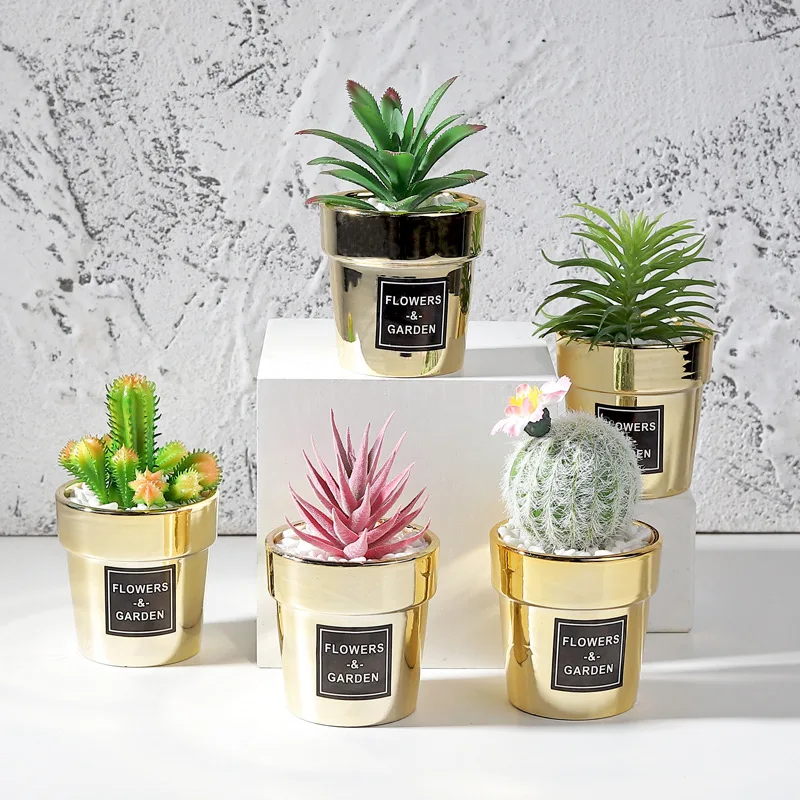 1Pcs Nordic Style Garden Simulation Cactus Potted Ornaments Window Decorations Cactus Plants In Golden Flowerpot
1Pcs Nordic Style Garden Simulation Cactus Potted Ornaments Window Decorations Cactus Plants In Golden Flowerpot