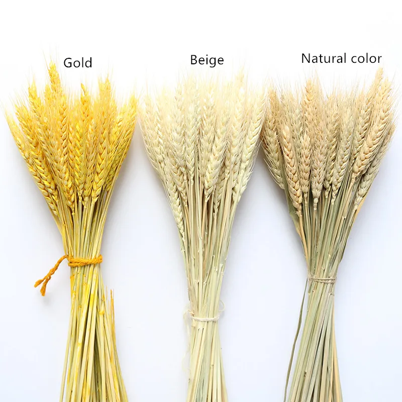 50/100Pcs Artificial Wheat Ears Natural Dried Flowers Grain Bouquet For Wedding Party Decoration Three Color JH89
50/100Pcs Artificial Wheat Ears Natural Dried Flowers Grain Bouquet For Wedding Party Decoration Three Color JH89