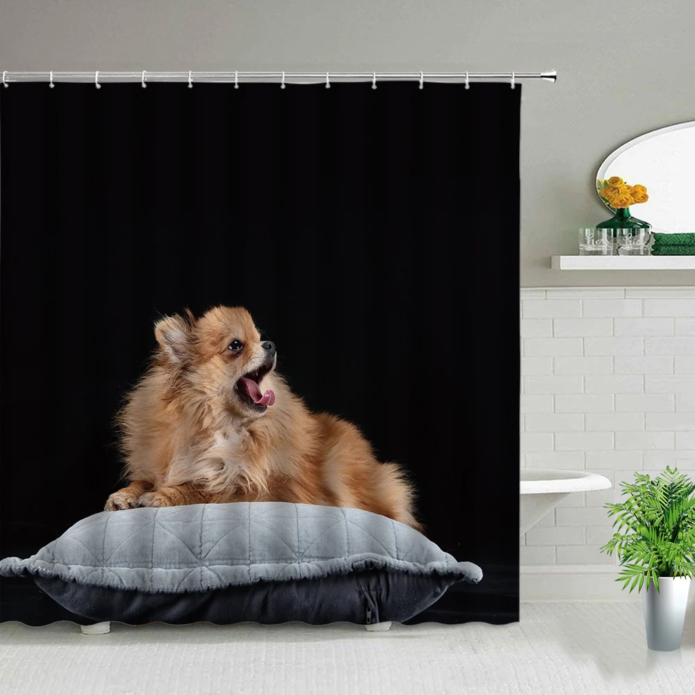 Cartoon Cats Shower Curtains Waterproof Kids Bathroom Hanging Curtain With Hooks Animal Black White Home Decor Polyester Fabric
Cartoon Cats Shower Curtains Waterproof Kids Bathroom Hanging Curtain With Hooks Animal Black White Home Decor Polyester Fabric