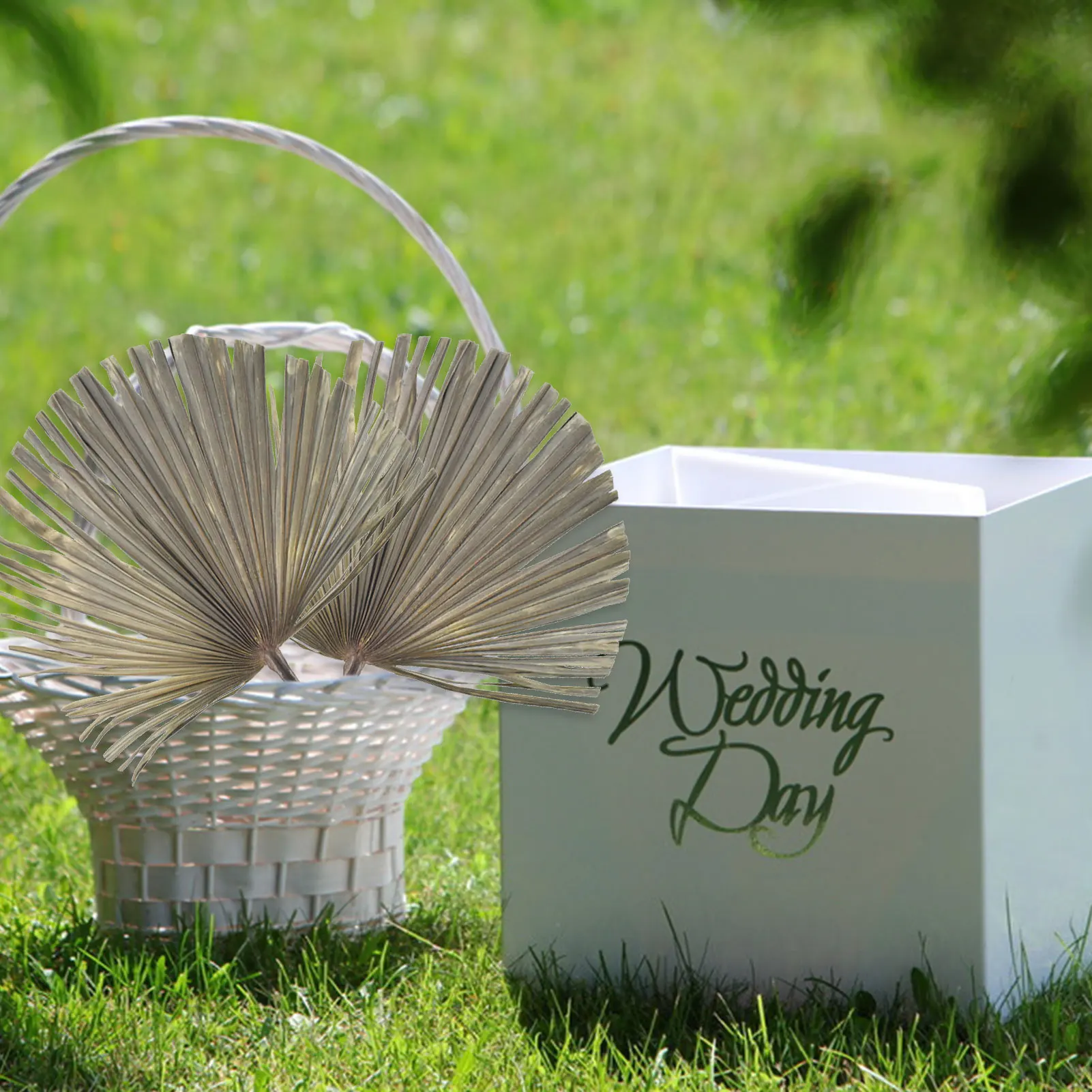 Dried Flower Palm Leaf DIY Art Wall Hanging Decoration Party DIY Art Wall Hanging Decoration For Wedding Arch Arrangement
Dried Flower Palm Leaf DIY Art Wall Hanging Decoration Party DIY Art Wall Hanging Decoration For Wedding Arch Arrangement