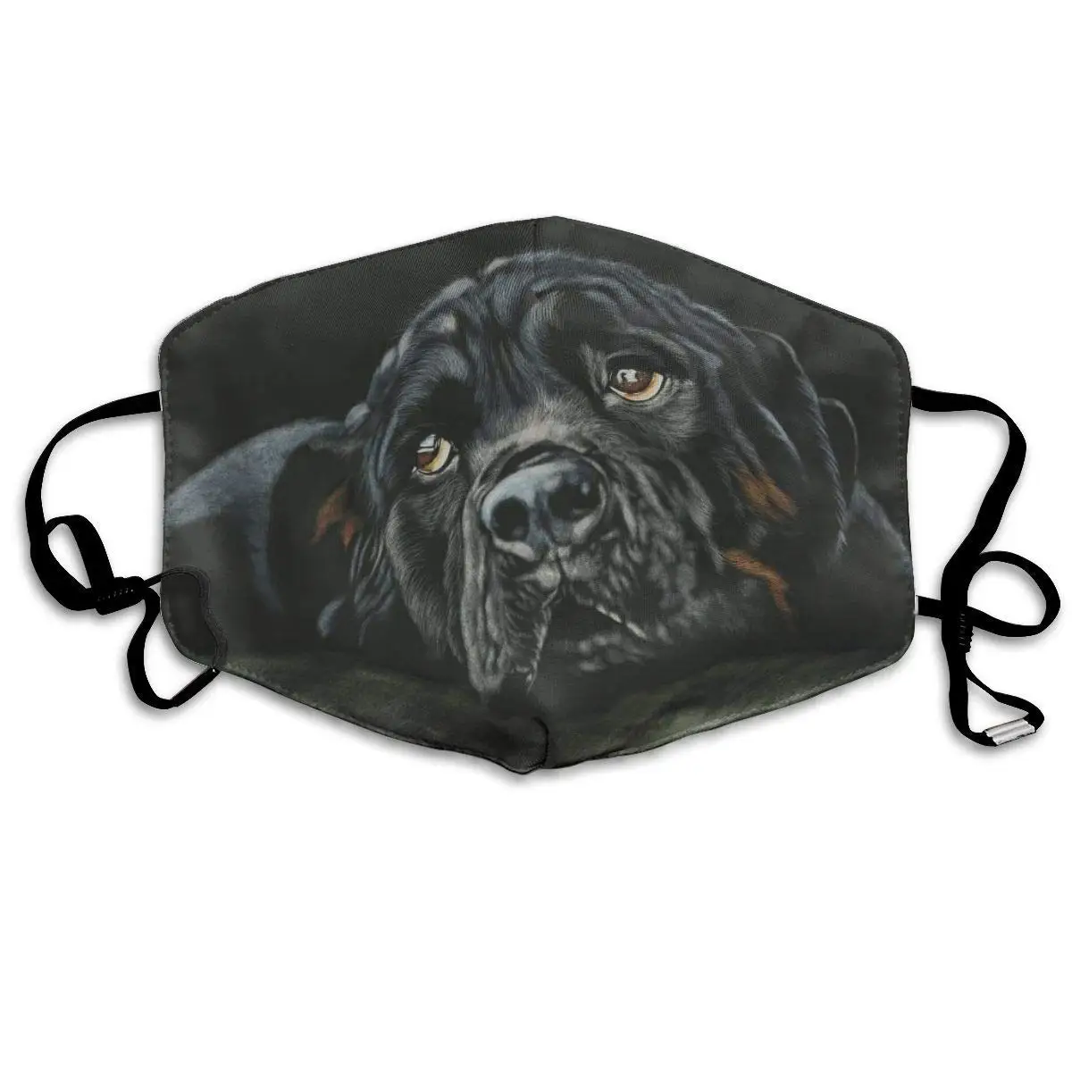 Маска от пыли для собак Honey Rottweiler, многоразовые моющиеся маски для рта, регулируемая теплая маска для лица, уникальный чехол, фильтры, блокир...
Маска от пыли для собак Honey Rottweiler, многоразовые моющиеся маски для рта, регулируемая теплая маска для лица, уникальный чехол, фильтры, блокир...