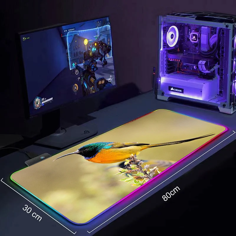 RGB Mouse Pad Animal Nuthatch Mouse pad RGB Gaming Accessories Computer Large 900x400 Mousepad Gamer Rubber Carpet DIY desk mat 
RGB Mouse Pad Animal Nuthatch Mouse pad RGB Gaming Accessories Computer Large 900x400 Mousepad Gamer Rubber Carpet DIY desk mat