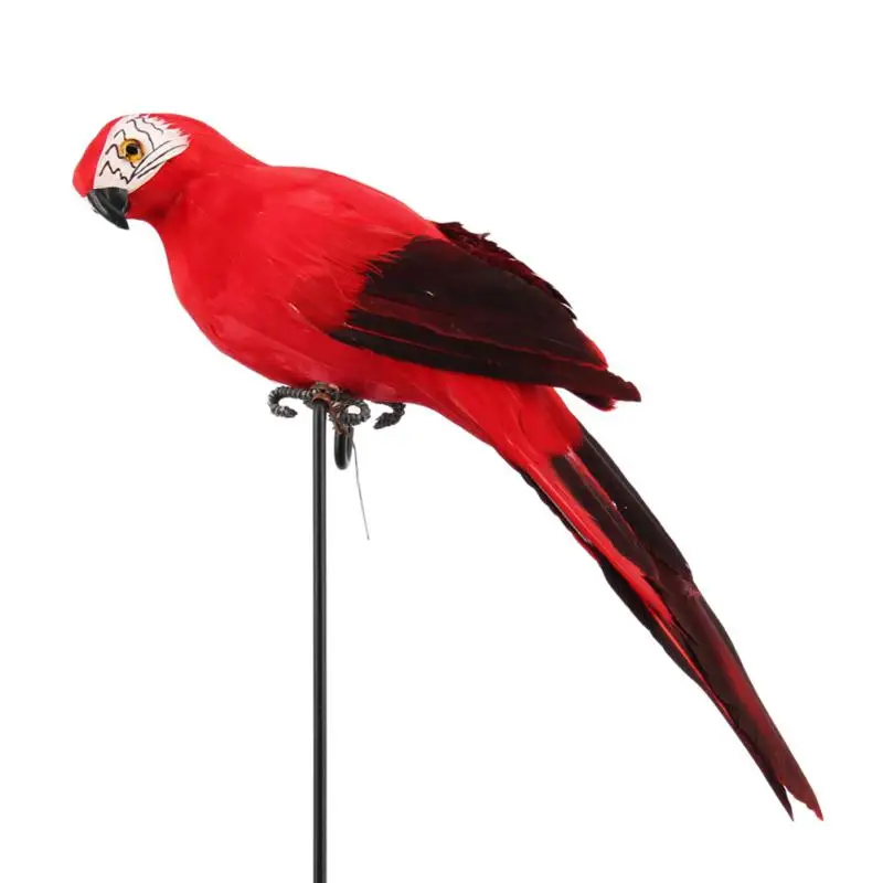 Simulation Parrot vivid Parrot wall hanging Feather realistic Photography props Home furnishing articles Parrot Decorative Foam
Simulation Parrot vivid Parrot wall hanging Feather realistic Photography props Home furnishing articles Parrot Decorative Foam