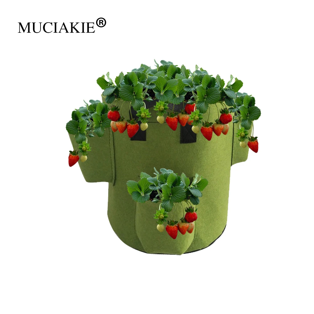 MUCIAKIE 1PC 5Gallon Four Pockets Garden Strawberry Planting Bag Vegetable Planting Bag Planter Pot With Handles For Plants
MUCIAKIE 1PC 5Gallon Four Pockets Garden Strawberry Planting Bag Vegetable Planting Bag Planter Pot With Handles For Plants