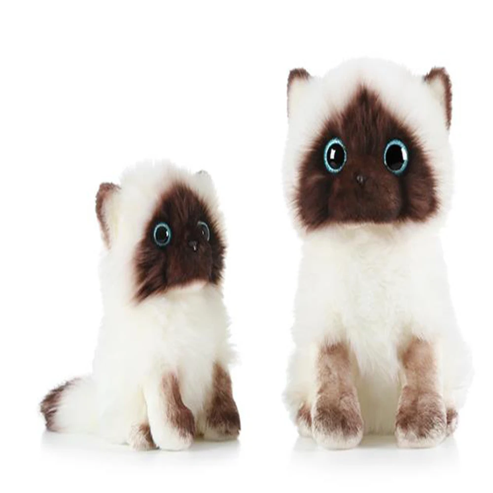 Simulated doll plush toys cute cat little doll girl birthday gift send children gift boys and girls allotted gift
Simulated doll plush toys cute cat little doll girl birthday gift send children gift boys and girls allotted gift