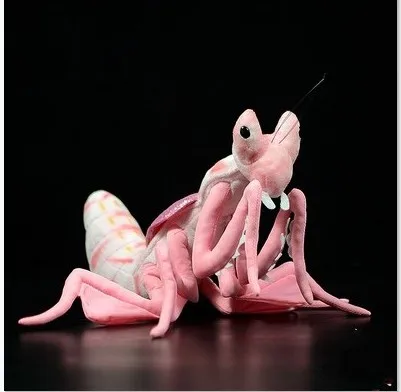 2021 New Arrival 28CM Simulation Malaysian Orchid Praying Mantis Plush Toy Cute Doll For Children Birhtday Gift
2021 New Arrival 28CM Simulation Malaysian Orchid Praying Mantis Plush Toy Cute Doll For Children Birhtday Gift
