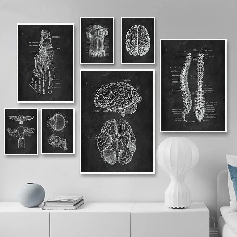 Human Anatomy Artwork Medical Clinic Wall Picture Skeleton Organ Muscle System Canvas Prints Body Education Posters
Human Anatomy Artwork Medical Clinic Wall Picture Skeleton Organ Muscle System Canvas Prints Body Education Posters