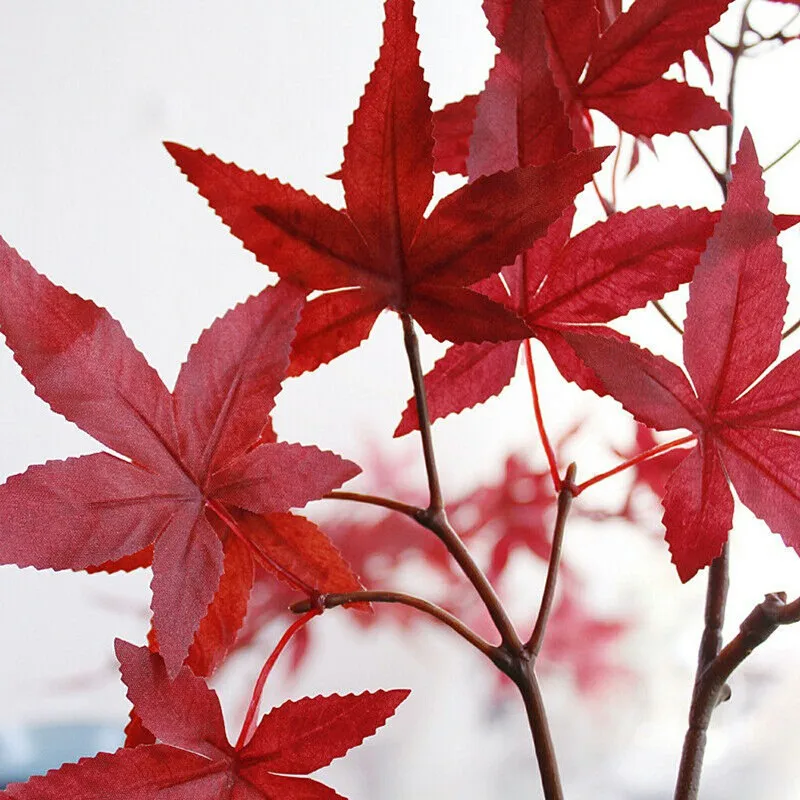Artificial Flowers Plastic 70CM Maple Leaf Red Orange Green Garden Wedding Home Decoration Fake Flower YAL00615
Artificial Flowers Plastic 70CM Maple Leaf Red Orange Green Garden Wedding Home Decoration Fake Flower YAL00615