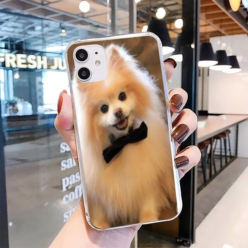 Yinuoda Pomeranian dogs dog Colorful Cute Phone Case For Clear-Iphone 5 5s se 6 6s 7 8 11 12 X Xs Xr Pro Plus Max Mini Cover
Yinuoda Pomeranian dogs dog Colorful Cute Phone Case For Clear-Iphone 5 5s se 6 6s 7 8 11 12 X Xs Xr Pro Plus Max Mini Cover