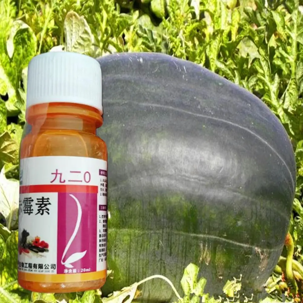 20 ml Garden gibberellic acid ga3/Gibberellin /GA3/Gibberellic Hormone with acid One Water bottle Plant Growth Soluble X5I7
20 ml Garden gibberellic acid ga3/Gibberellin /GA3/Gibberellic Hormone with acid One Water bottle Plant Growth Soluble X5I7