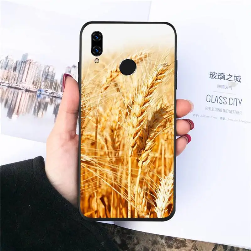 Raw material for bread wheat Phone Cases For Huawei honor Mate P 10 20 30 40 Pro 10i 9 10 20 8 x Lite Luxury brand shell 
Raw material for bread wheat Phone Cases For Huawei honor Mate P 10 20 30 40 Pro 10i 9 10 20 8 x Lite Luxury brand shell