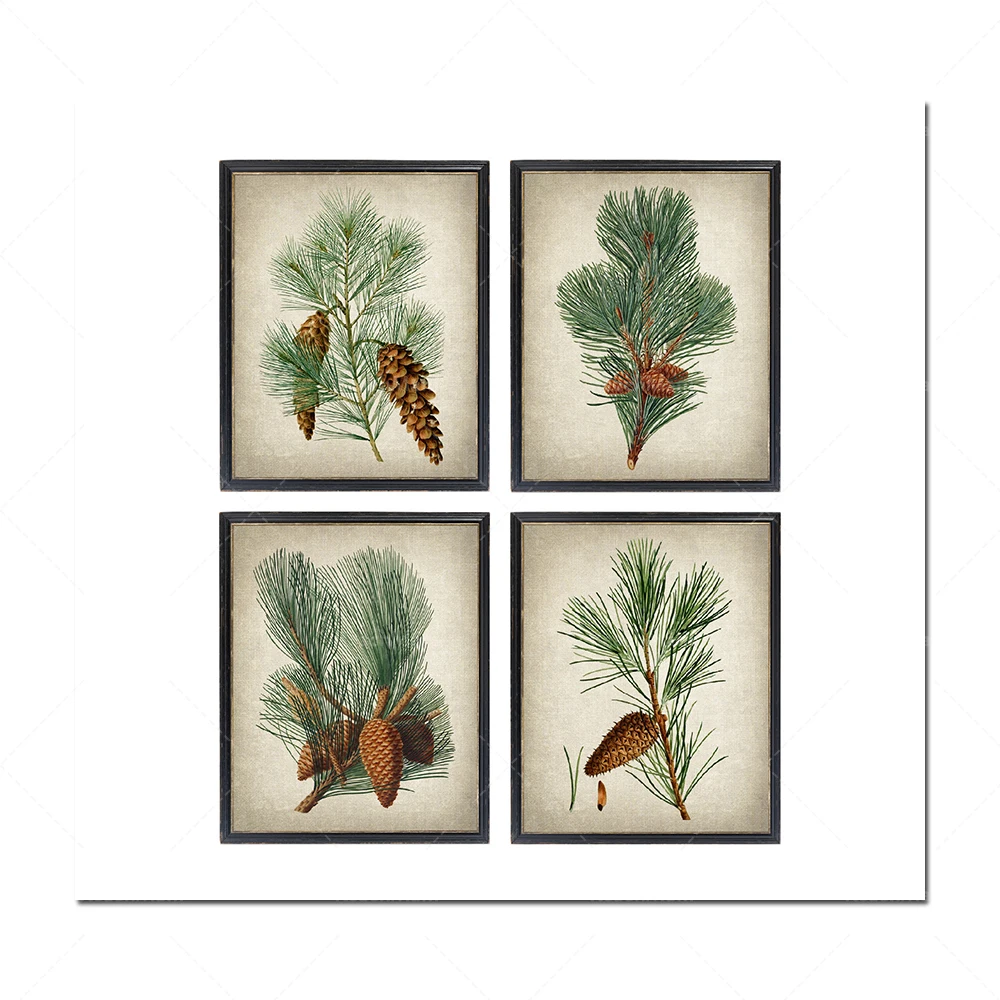 Ensemble de 4 pièces d'impressions de plantes de pin, illustrations vintage, jardin botanique de pommes de pin à feuilles persis 
Ensemble de 4 pièces d'impressions de plantes de pin, illustrations vintage, jardin botanique de pommes de pin à feuilles persis