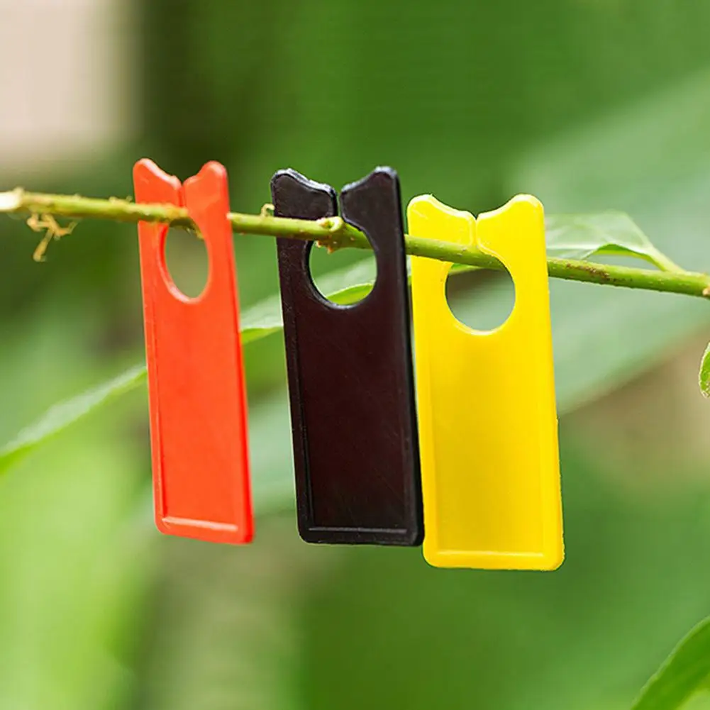 200Pcs Pack Labels Melon Fruit Multifunction Portable Sample Board Orchard Plant Sticker Garden Decoration
200Pcs Pack Labels Melon Fruit Multifunction Portable Sample Board Orchard Plant Sticker Garden Decoration