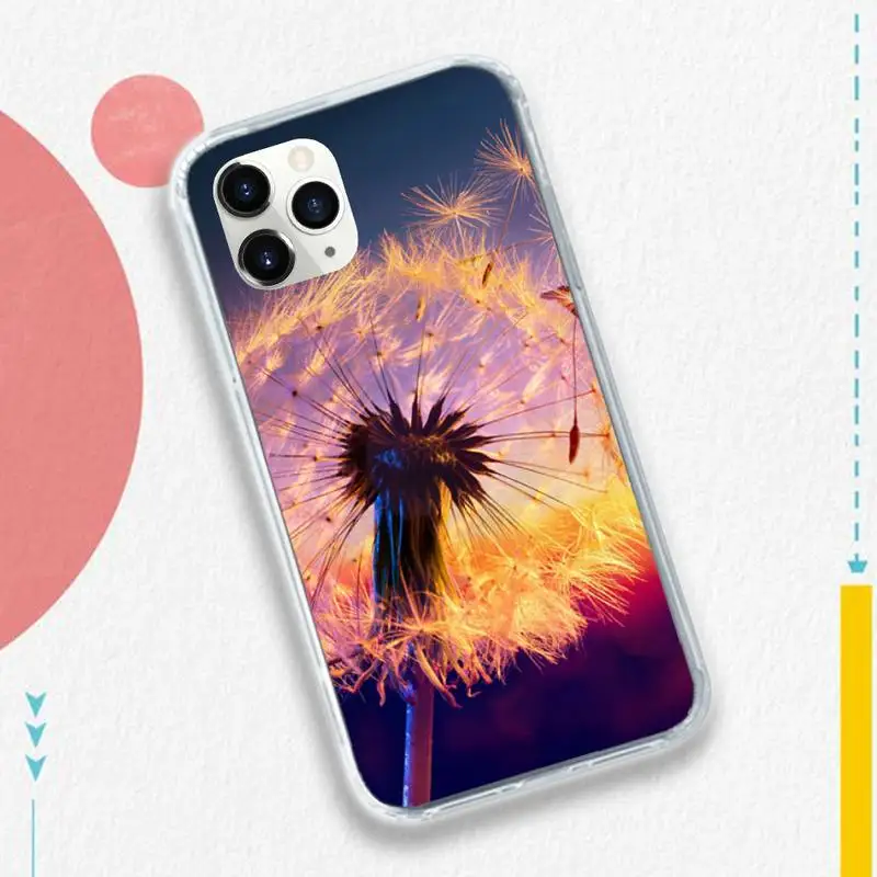 Romantic simple lavender Purple flowers Phone Case for iPhone 11 12 pro XS MAX 8 7 6 6S Plus X 5S SE 2020 XR
Romantic simple lavender Purple flowers Phone Case for iPhone 11 12 pro XS MAX 8 7 6 6S Plus X 5S SE 2020 XR