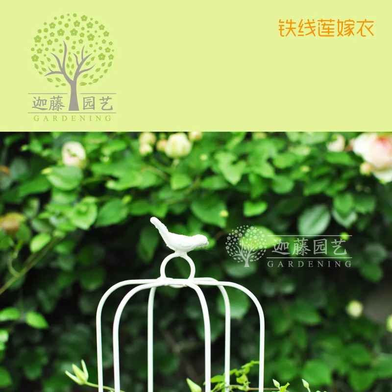 New arrival clematis frame Birdcage flower frame Vine climbing frame has 2 specifications Suitable for balcony pot
New arrival clematis frame Birdcage flower frame Vine climbing frame has 2 specifications Suitable for balcony pot