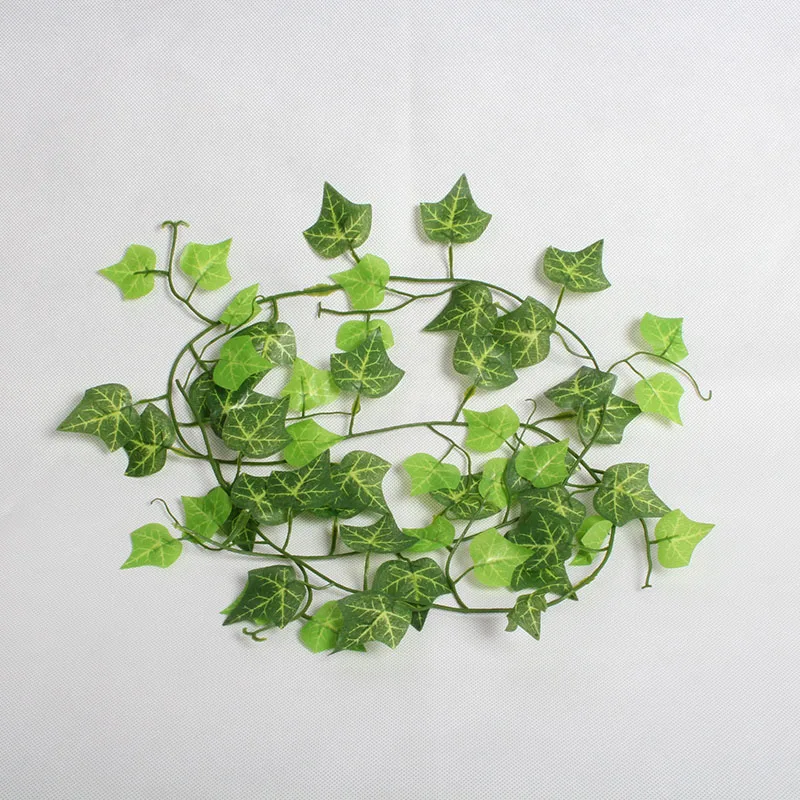 2M Terrarium Reptile Vines Flexible Bendable Jungle Climber Vines Habitat Decor Reptile Pet Terrarium Decoration
2M Terrarium Reptile Vines Flexible Bendable Jungle Climber Vines Habitat Decor Reptile Pet Terrarium Decoration