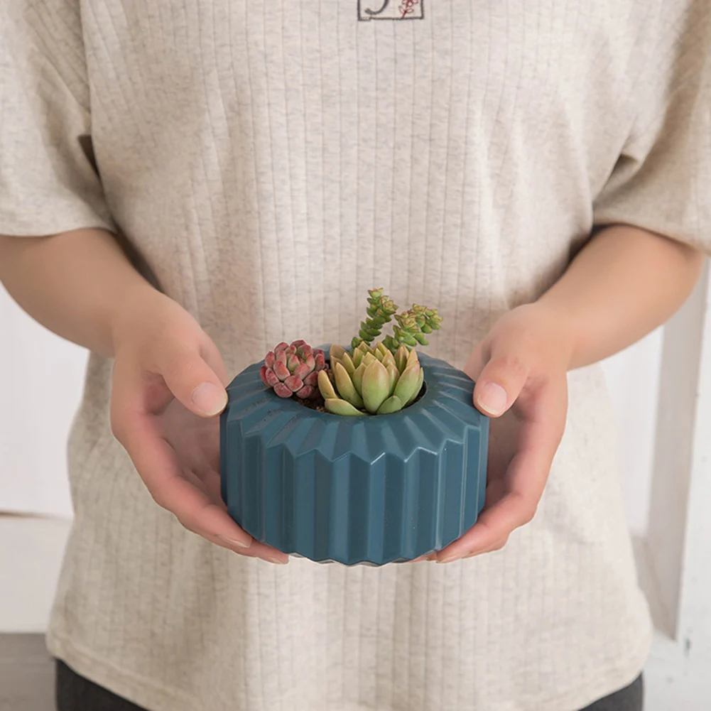 Succulent Flower Pot Plastic Thickening Creative Simple Large Diameter Pot Indoor Simple Fleshy Personality Plant Flower Pot
Succulent Flower Pot Plastic Thickening Creative Simple Large Diameter Pot Indoor Simple Fleshy Personality Plant Flower Pot