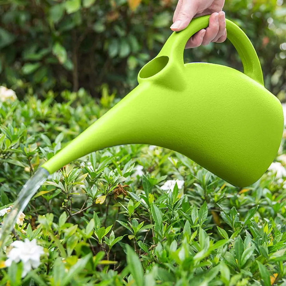 2L Watering Kettle Balcony Succulents Potted Manual Watering Can Pot Plastic Watering Can Gardening Water Bottle
2L Watering Kettle Balcony Succulents Potted Manual Watering Can Pot Plastic Watering Can Gardening Water Bottle