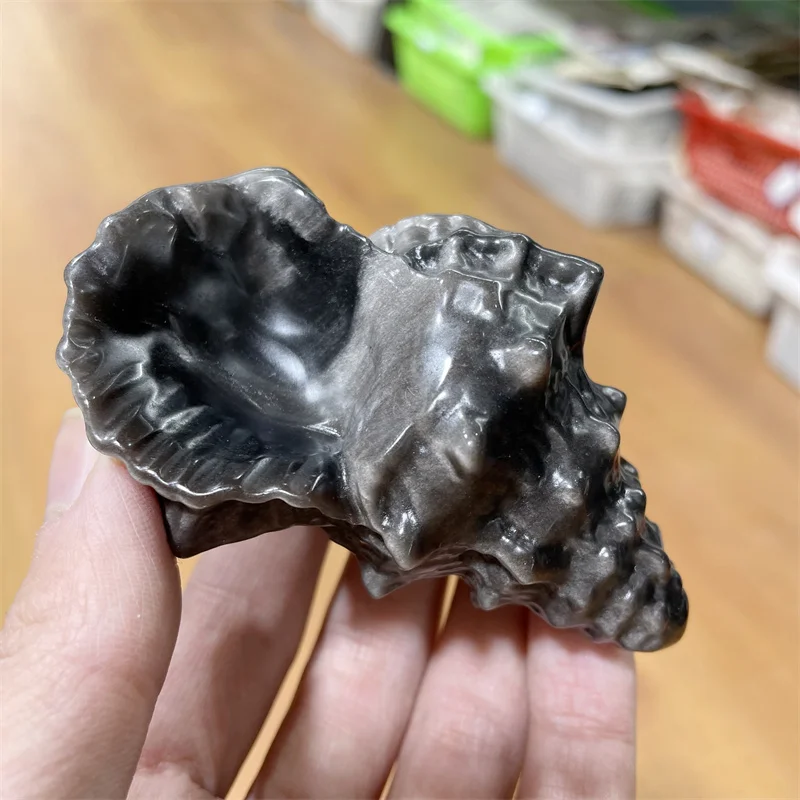 Natural Hand Crafts Silver Obsidian Sea Snail Crystals And Stones Healing Carving For Home Decoration 1pcs
Natural Hand Crafts Silver Obsidian Sea Snail Crystals And Stones Healing Carving For Home Decoration 1pcs