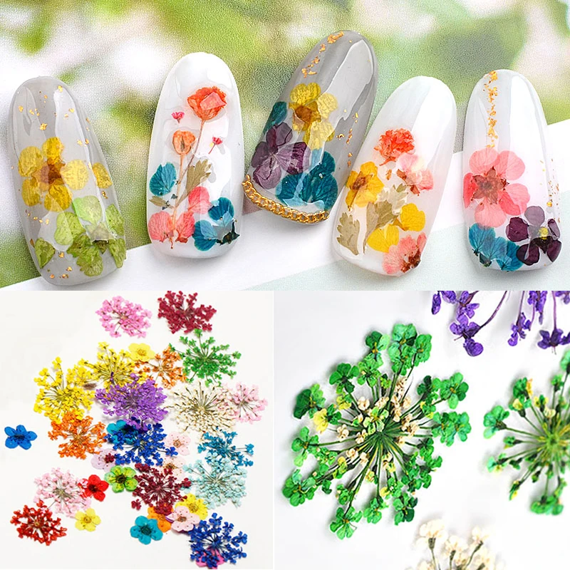 12 Colors Dried Flowers Nail Art Decorations Mixed 3D Natural Floral Leaf Pressed Flowers DIY Nail Stickers Manicure Accessories
12 Colors Dried Flowers Nail Art Decorations Mixed 3D Natural Floral Leaf Pressed Flowers DIY Nail Stickers Manicure Accessories