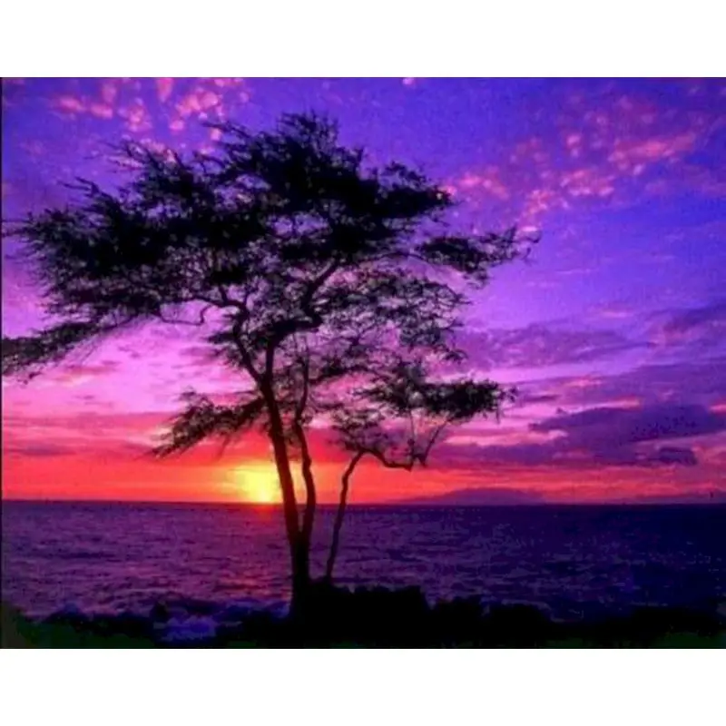 GATYZTORY DIY Diamond Embroidery Sunset Landscape Diamond Painting 5D Natural Scenery New Arrival Room Decoration
GATYZTORY DIY Diamond Embroidery Sunset Landscape Diamond Painting 5D Natural Scenery New Arrival Room Decoration