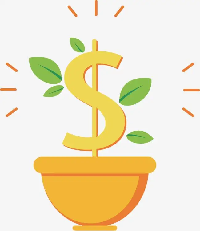 Extra shipping 
Extra shipping