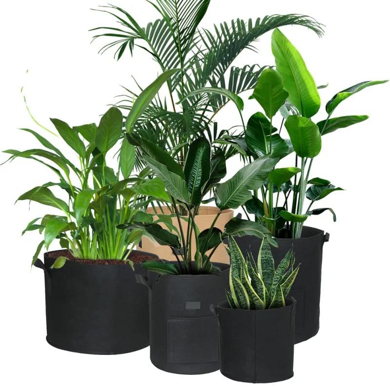 Plant Grow Bags Garden Pot Flower Pot With Handles Greenhouse Growing Bag Eco-Friendly Planting Bags
Plant Grow Bags Garden Pot Flower Pot With Handles Greenhouse Growing Bag Eco-Friendly Planting Bags
