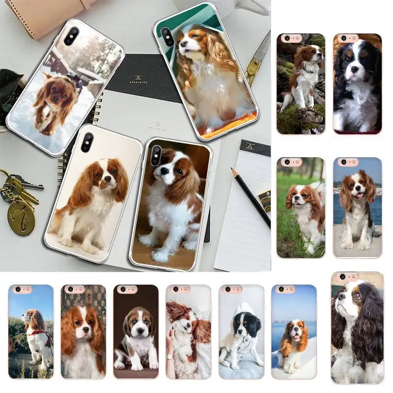 Cavalier King Charles Spaniel Dog Phone Case For iphone 13 X XS MAX 6 6s 7 7plus 8 8 Plus 5 5S se 11 12pro max xr Funda cases
Cavalier King Charles Spaniel Dog Phone Case For iphone 13 X XS MAX 6 6s 7 7plus 8 8 Plus 5 5S se 11 12pro max xr Funda cases