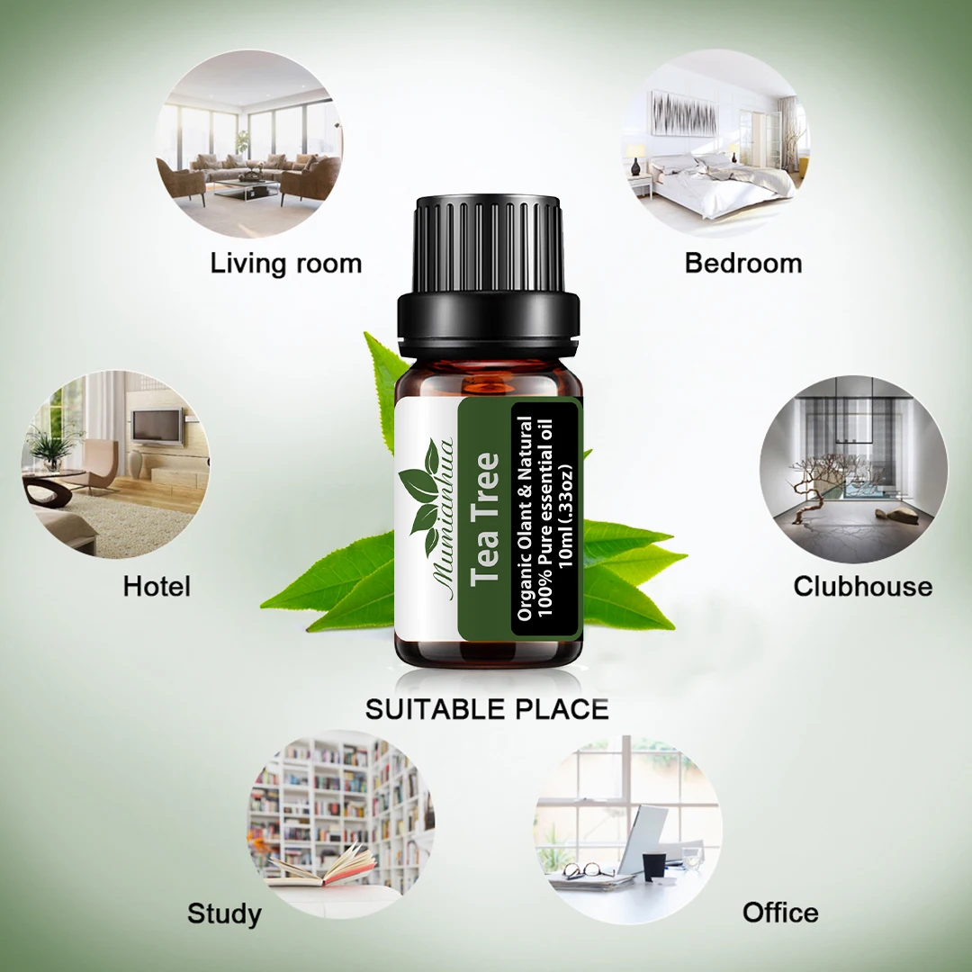 Aromatic Essential Oil 10ML Pure Natural Essential Oils Aromatherapy Patchouli Eucalyptus Vanilla Mint Clove Tea Tree Oil
Aromatic Essential Oil 10ML Pure Natural Essential Oils Aromatherapy Patchouli Eucalyptus Vanilla Mint Clove Tea Tree Oil
