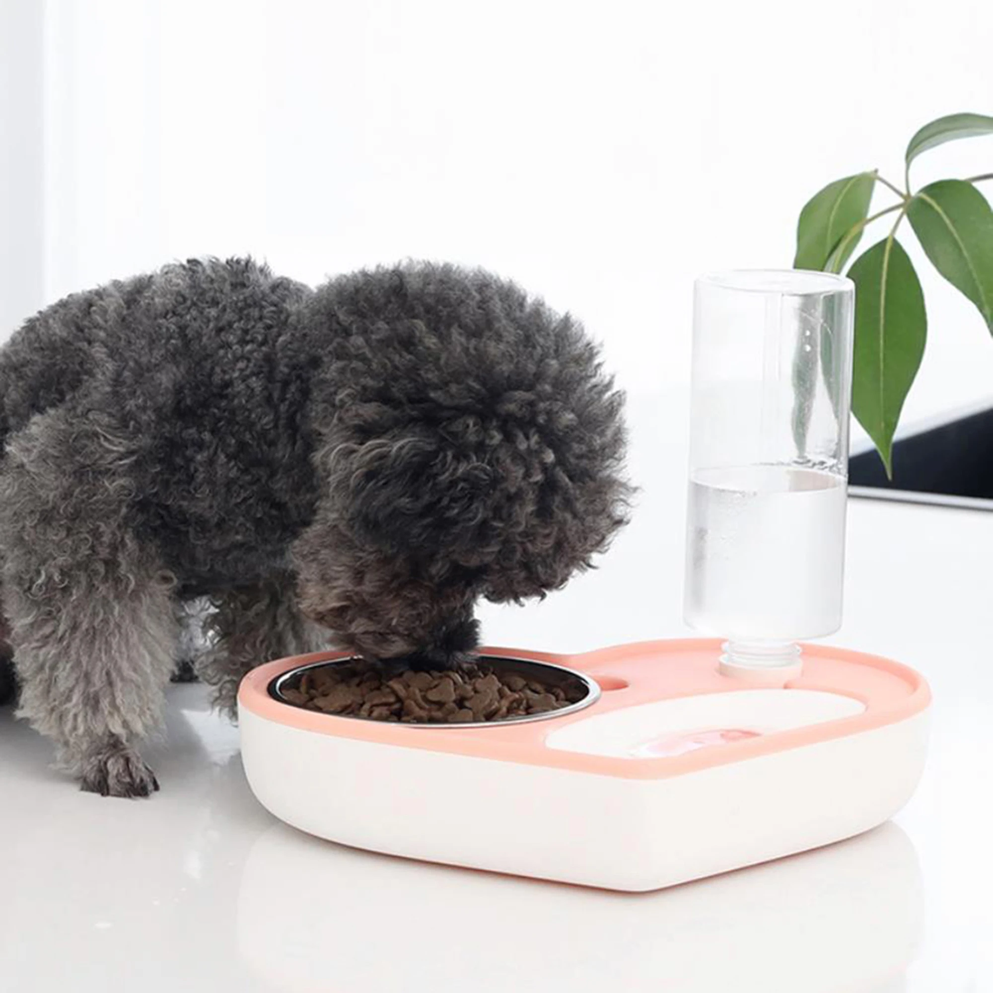 Pet Feeding Bowl 2 In 1 Water Dispenser and Food Feeder with Removable Base for Cats and Small Dogs
Pet Feeding Bowl 2 In 1 Water Dispenser and Food Feeder with Removable Base for Cats and Small Dogs