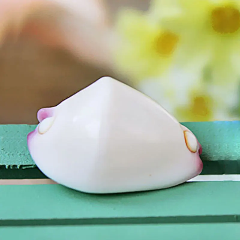 Natural Calpurnus Verrucosus Specimen Shell Craft Decoration Conch Decoration Collection Gift DIY Shell
Natural Calpurnus Verrucosus Specimen Shell Craft Decoration Conch Decoration Collection Gift DIY Shell