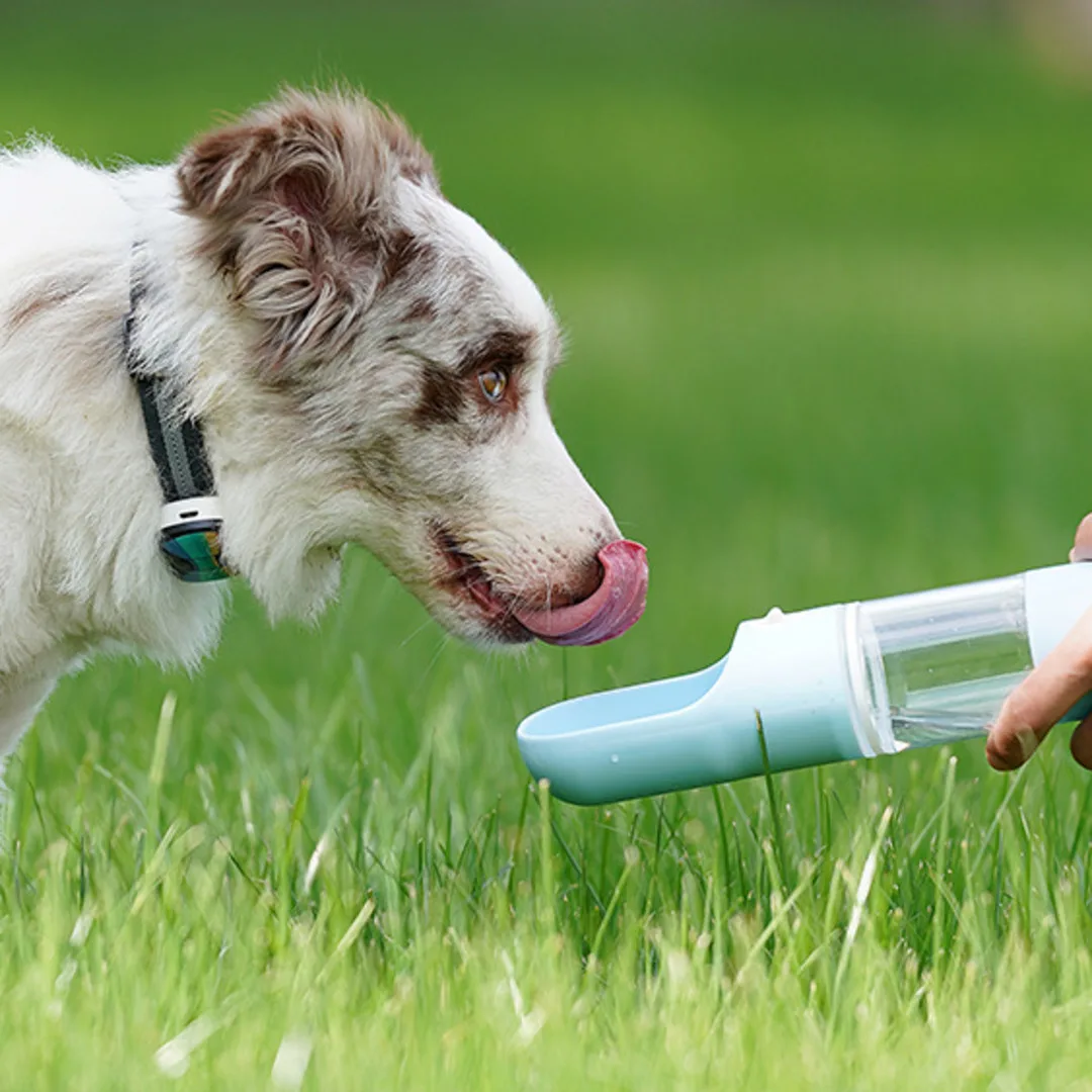 Portable Dog Water Bottle Outdoor Dog Walking Water Bottle Pet Travel Water Bottle Dog Cat Drinking Fountain Feeder Pet Supplies
Portable Dog Water Bottle Outdoor Dog Walking Water Bottle Pet Travel Water Bottle Dog Cat Drinking Fountain Feeder Pet Supplies