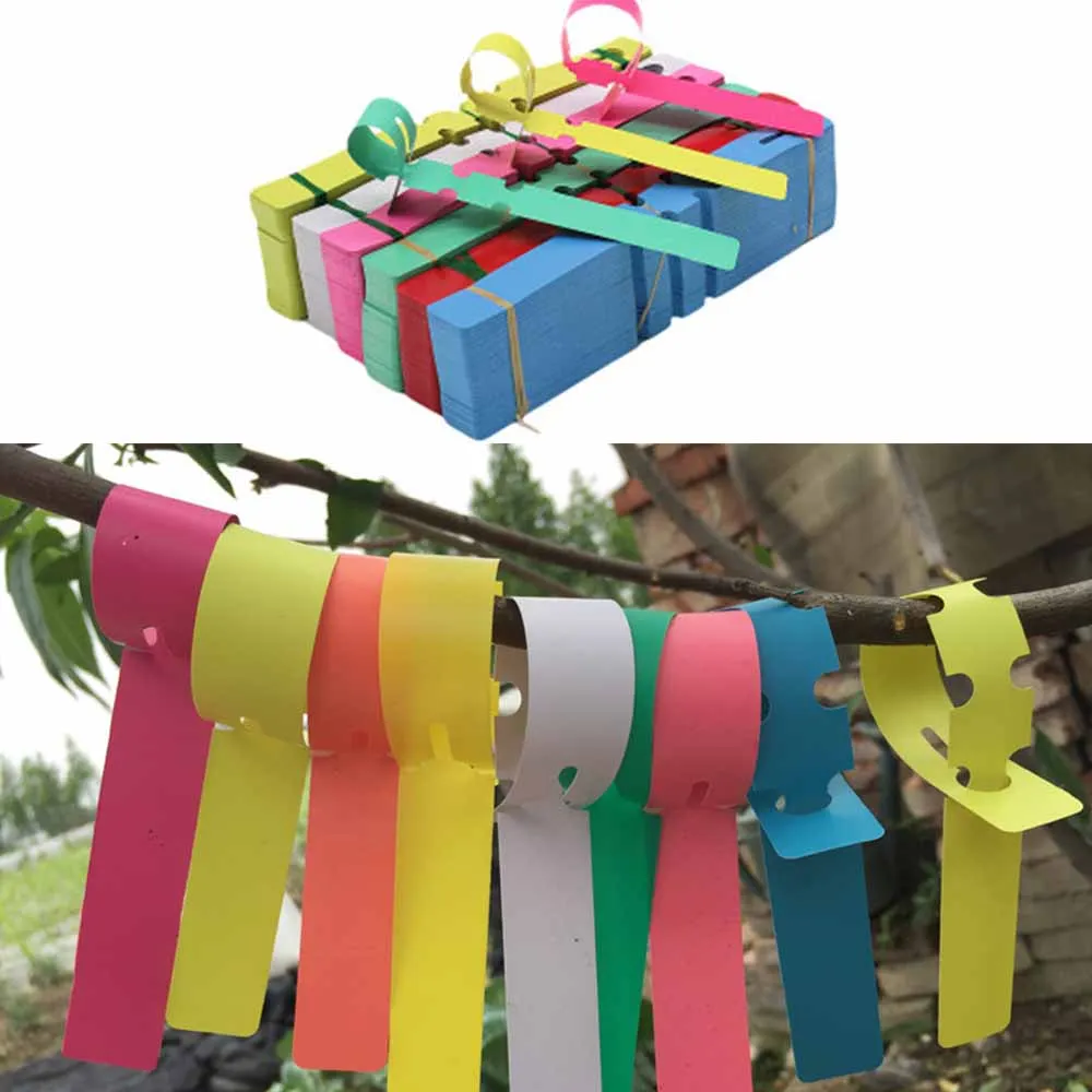 100pcs Plant Tags Nursery Flower Hanging Tree Markers Signs Seeding Yard Garden Lawn Decoration Tags Plant Labels
100pcs Plant Tags Nursery Flower Hanging Tree Markers Signs Seeding Yard Garden Lawn Decoration Tags Plant Labels