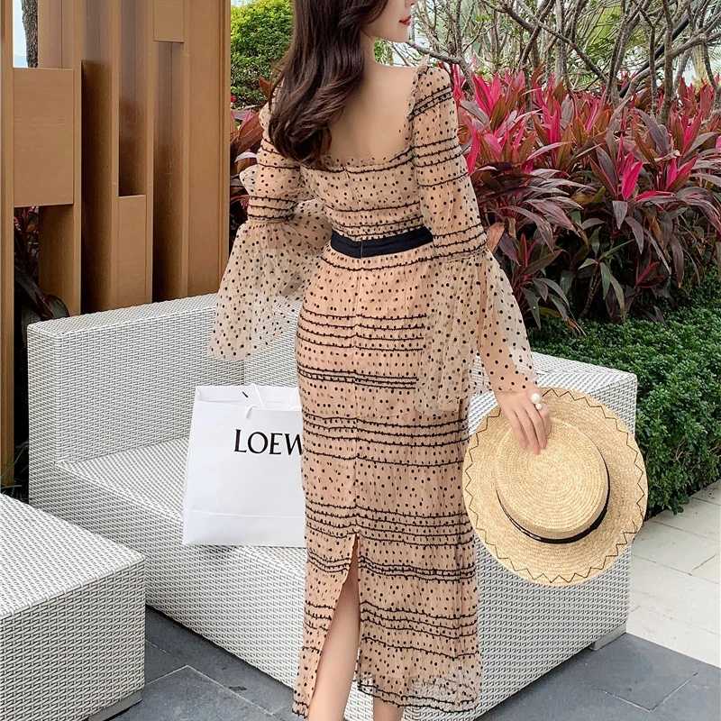 Vintage Polka Dot Mesh Slim Long Party Dress Women Summer Elegant Draped Long Sleeve Midi Dress Self Portrait Runway Dress
Vintage Polka Dot Mesh Slim Long Party Dress Women Summer Elegant Draped Long Sleeve Midi Dress Self Portrait Runway Dress