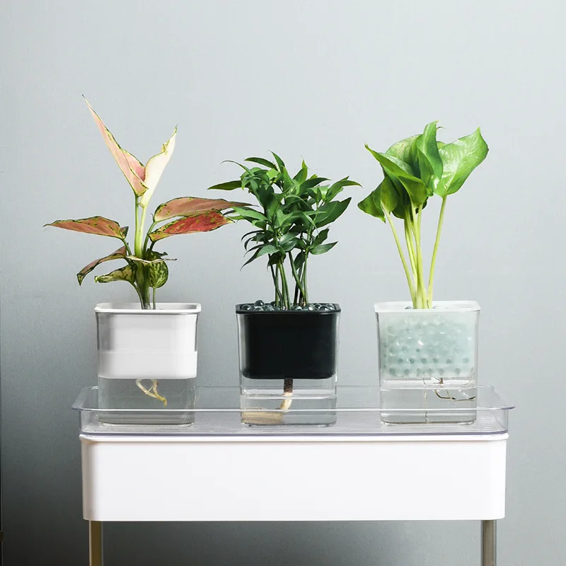 Transparent automatic water-absorbing plant no-watering flower pot lazy hydroponic potted plastic container indoor decoration
Transparent automatic water-absorbing plant no-watering flower pot lazy hydroponic potted plastic container indoor decoration