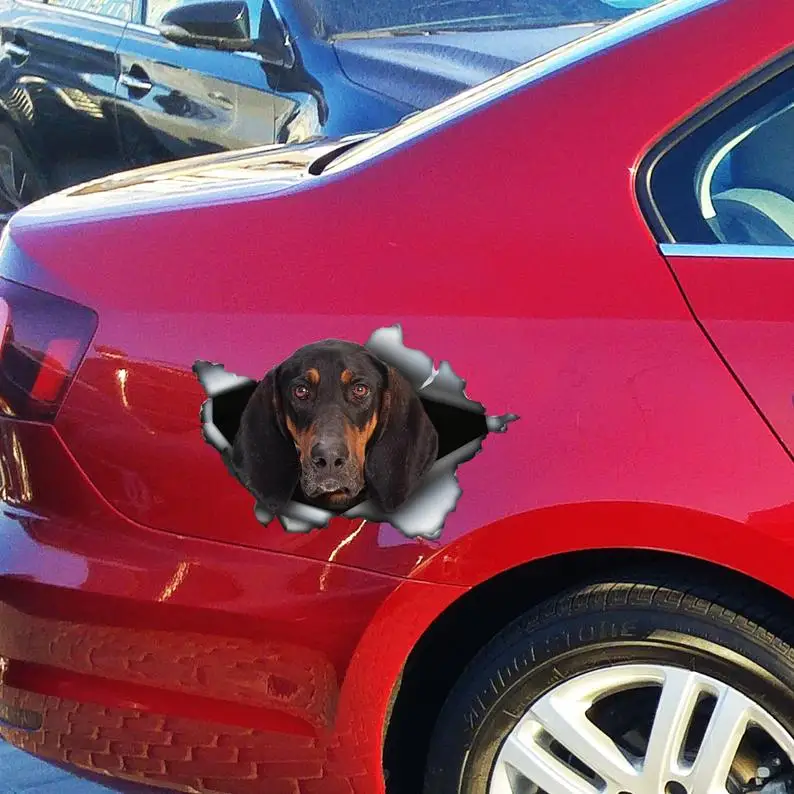 2021 Black and Tan Coonhound decal, coonhound magnet, coonhound car sticker, pet decal
2021 Black and Tan Coonhound decal, coonhound magnet, coonhound car sticker, pet decal