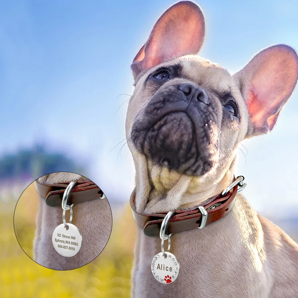 Custom Dog Tag Engraved Pet Dog Collar Accessories Tags Tag Steel ID Anti-lost Personalized Pendant Name Puppy Stainless
Custom Dog Tag Engraved Pet Dog Collar Accessories Tags Tag Steel ID Anti-lost Personalized Pendant Name Puppy Stainless