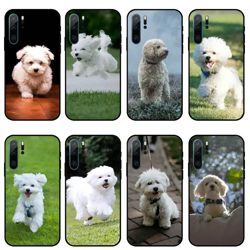 Bichon frise dog cute animal Phone Case For Huawei honor Mate P 10 20 30 40 i 9 8 pro x Lite smart 2019 nova 5t
Bichon frise dog cute animal Phone Case For Huawei honor Mate P 10 20 30 40 i 9 8 pro x Lite smart 2019 nova 5t