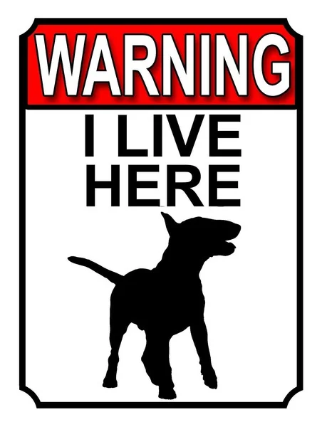 Warning I Live Here Tin Sign art wall decoration,vintage aluminum retro metal sign
Warning I Live Here Tin Sign art wall decoration,vintage aluminum retro metal sign