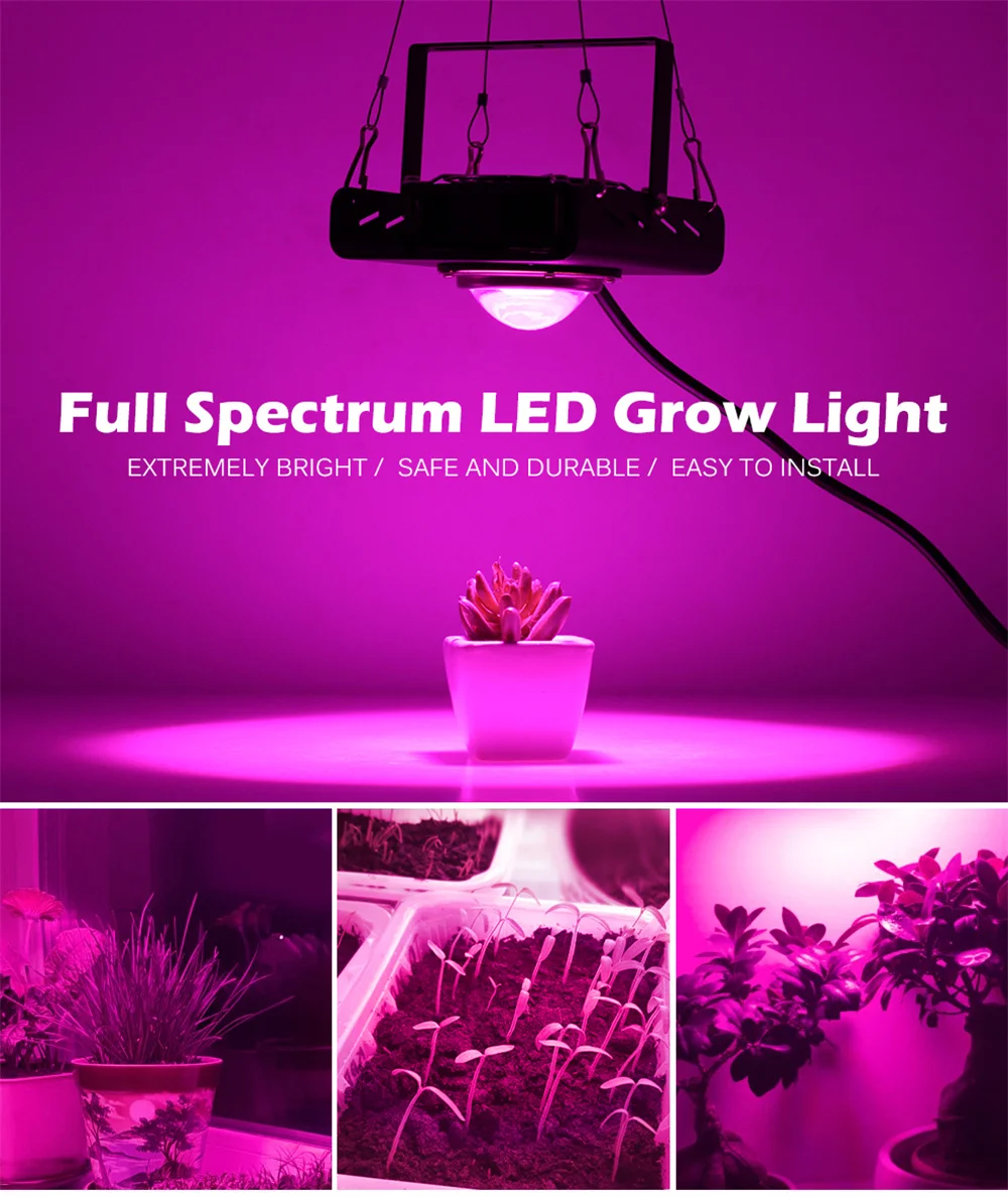 COB LED Grow Light Full Spectrum 100W With Cooling fan for Hydroponic Greenhouse Plant Growth Lighting AC110V-220V
COB LED Grow Light Full Spectrum 100W With Cooling fan for Hydroponic Greenhouse Plant Growth Lighting AC110V-220V