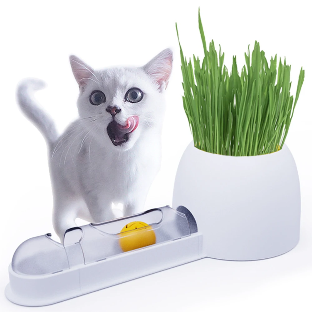 Cat Grass Track Splicing Toy Pet Cat Funny Ball Toy Cat Grass Tunnel Toy Ball Cat Supplies Chewing Interactive Pet Accessories
Cat Grass Track Splicing Toy Pet Cat Funny Ball Toy Cat Grass Tunnel Toy Ball Cat Supplies Chewing Interactive Pet Accessories