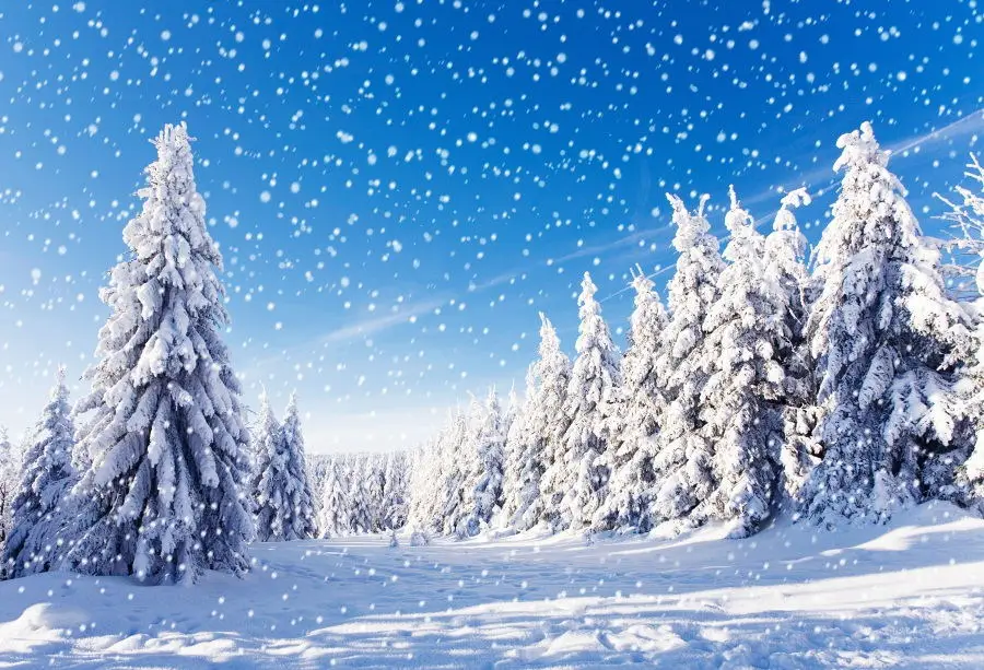 Мечтательный зимний Фотофон лес сосновые деревья снежные горы интерьер домашний