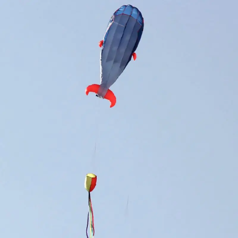 Outdoor Equipment Sports Quality Whale Outdoor Nylon Figures Surfing Soft Blue Water Kite High Hot Sale 1 2
Outdoor Equipment Sports Quality Whale Outdoor Nylon Figures Surfing Soft Blue Water Kite High Hot Sale 1 2