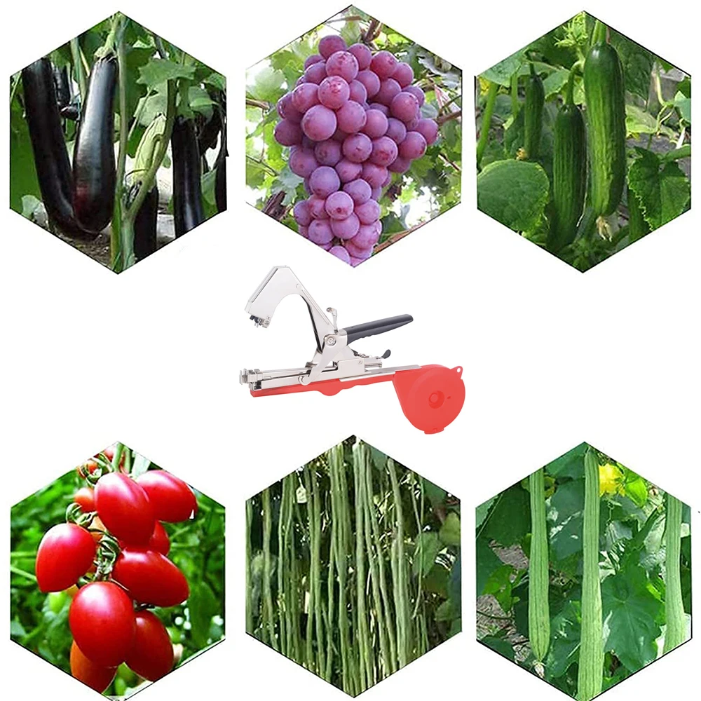 Tapener Plant Garden Tying Machine Set Hand Tying with Tape Set for Binding Branch Vegetable Grape Tomato Cucumber Pepper Flower
Tapener Plant Garden Tying Machine Set Hand Tying with Tape Set for Binding Branch Vegetable Grape Tomato Cucumber Pepper Flower