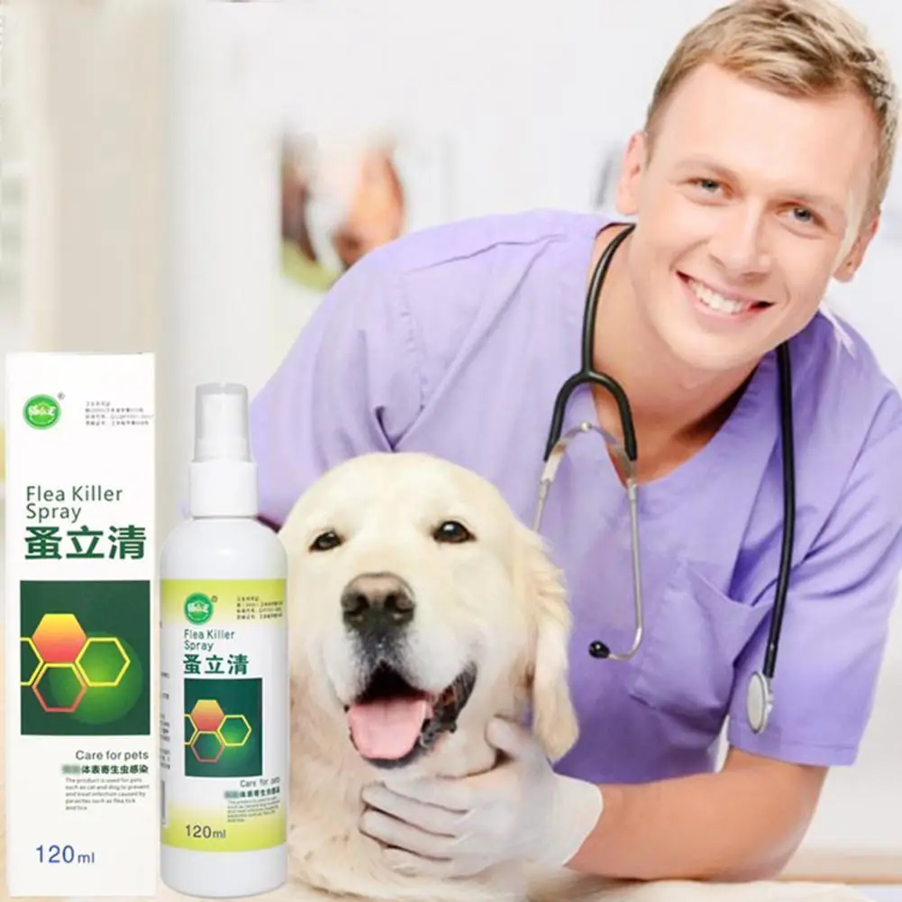 8ml Pet Dog Cat Flea Tick Killer Anti-flea Insecticide Kitten In Vitro Remover Drop Lice Insect Insect Insecticide Spray Co L4I5
8ml Pet Dog Cat Flea Tick Killer Anti-flea Insecticide Kitten In Vitro Remover Drop Lice Insect Insect Insecticide Spray Co L4I5