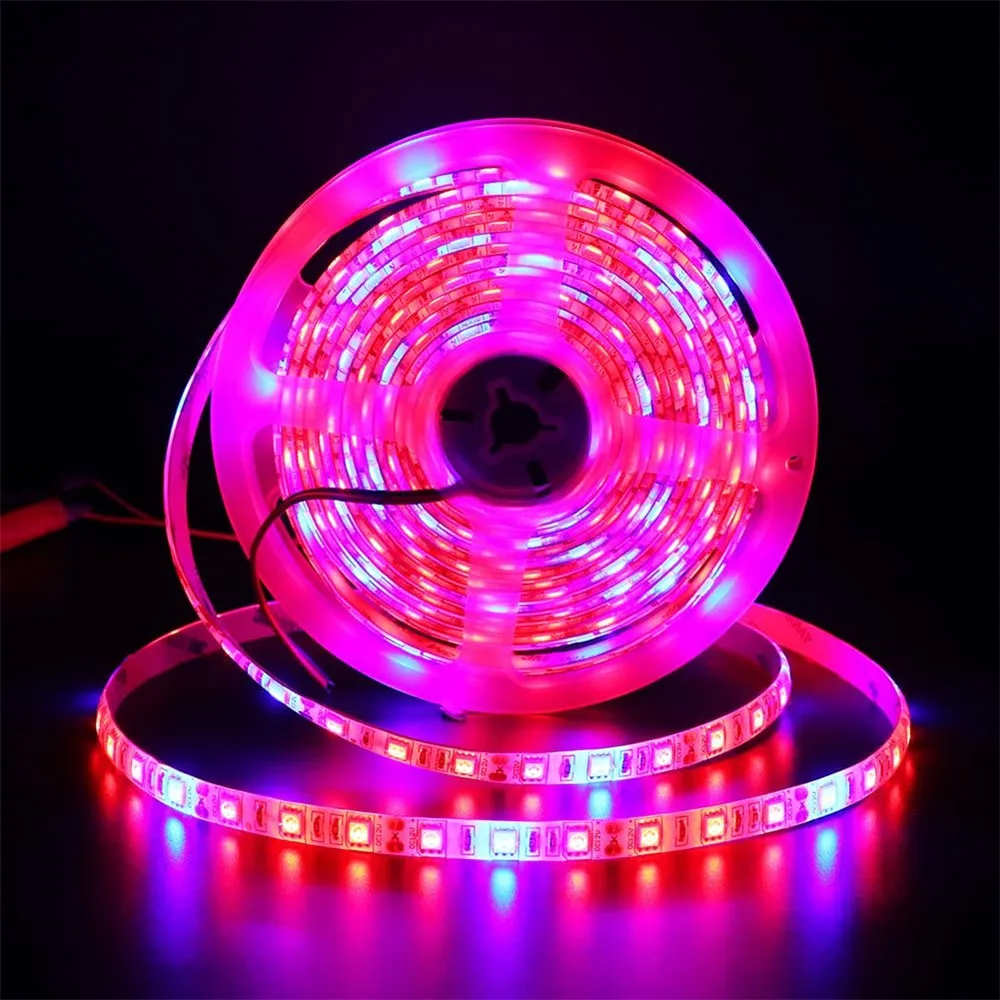 

Full Spectrum LED Grow Light Strip 1M 2M 3M 4M 5M SMD 5050 DC12V Plant Growing Lights for Greenhouse Hydroponic plant Tent