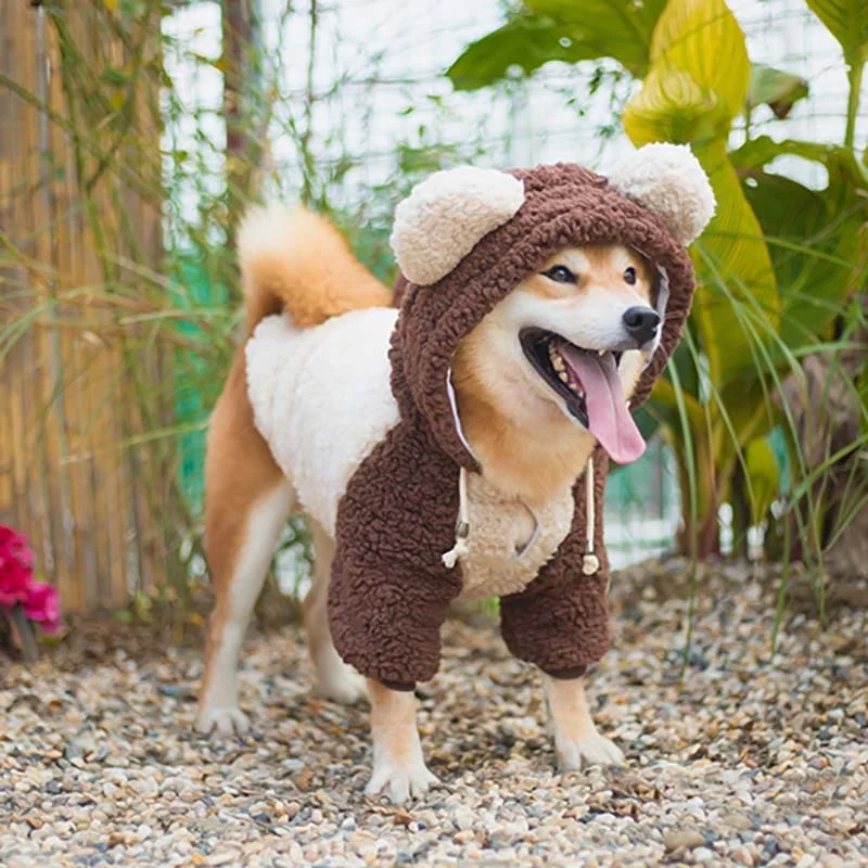 Big Dog Transfiguration Clothes Thickened Two-legged Large Dog Autumn Winter Hooded Cotton Pet Dog Clothes Pet Supplies
Big Dog Transfiguration Clothes Thickened Two-legged Large Dog Autumn Winter Hooded Cotton Pet Dog Clothes Pet Supplies